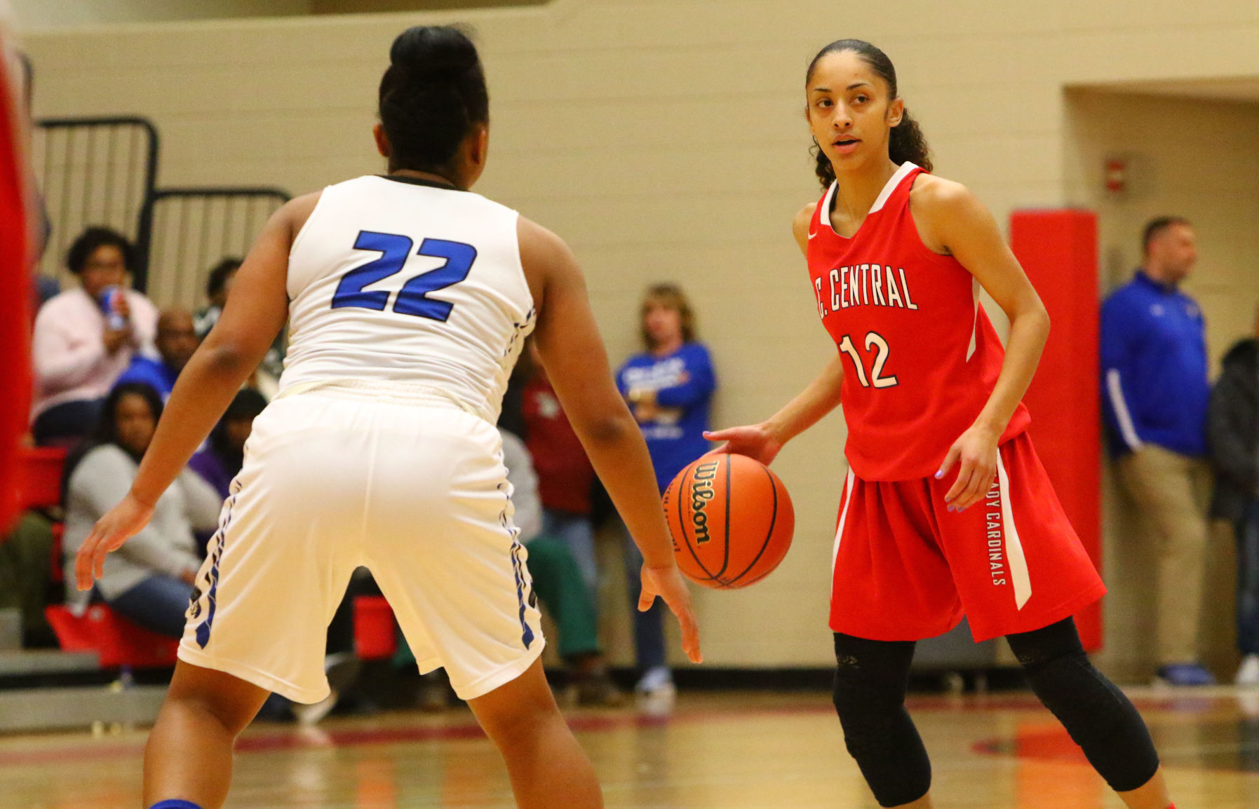 Gallery: Girls Basketball Sectional Finals - E.C. Central vs. Lake Central